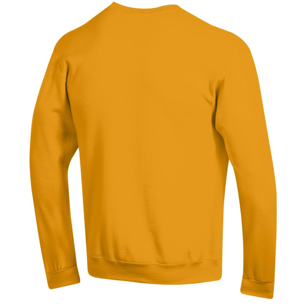 Pittsburgh Penguins Champion Eco Powerblend Crewneck Sweatshirt For Sale