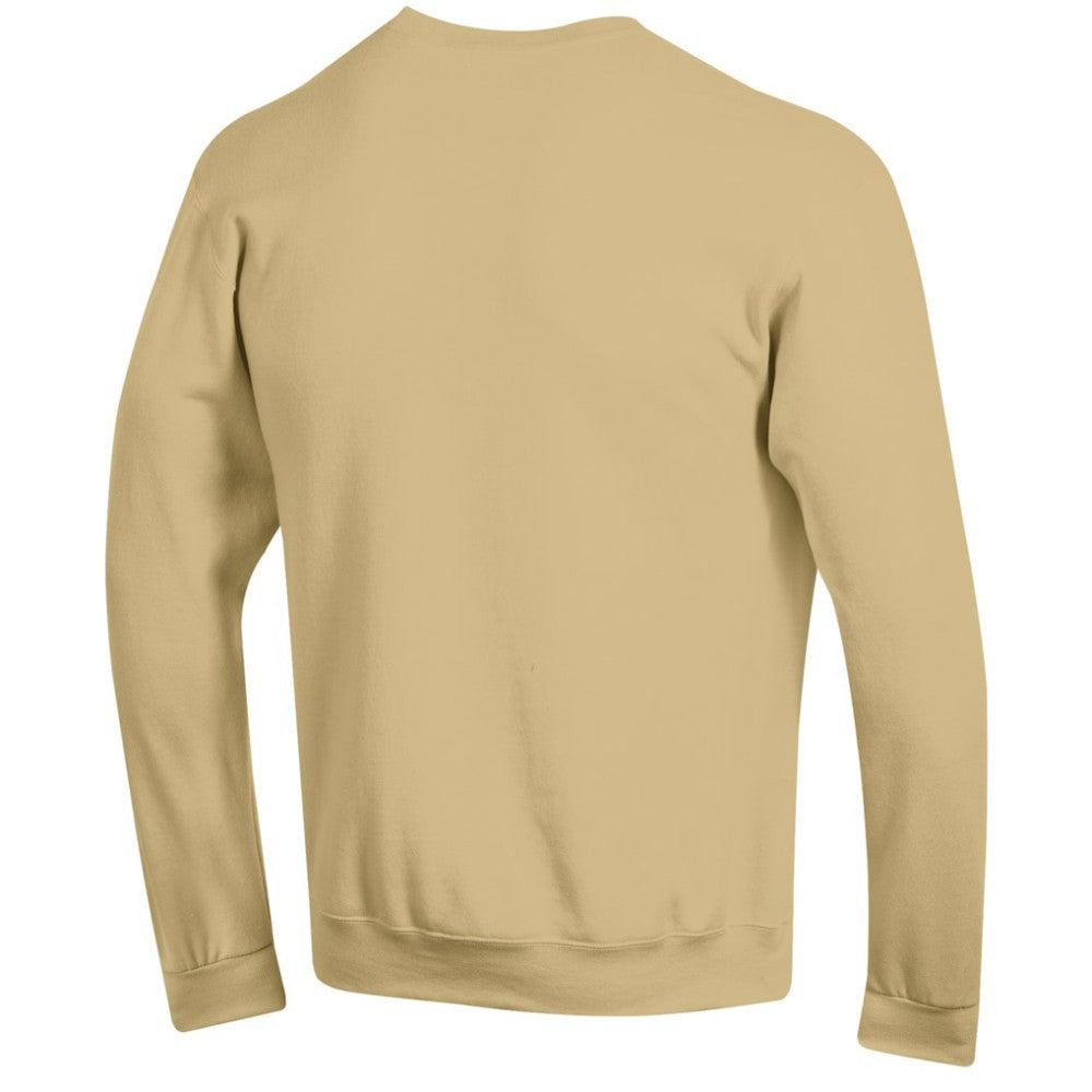 Vegas Golden Knights Champion Eco Powerblend Crewneck Sweatshirt Online