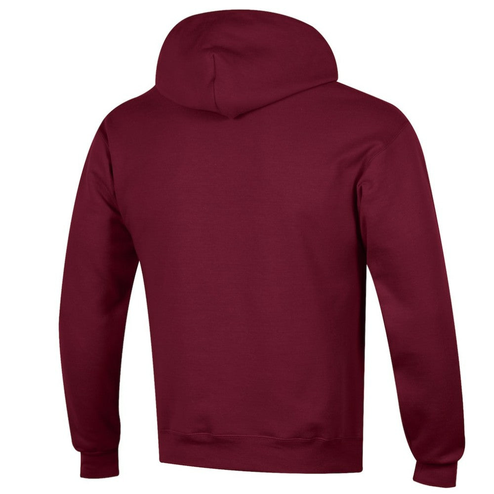 Colorado Avalanche Champion Eco Powerblend Pullover Hoodie On Sale