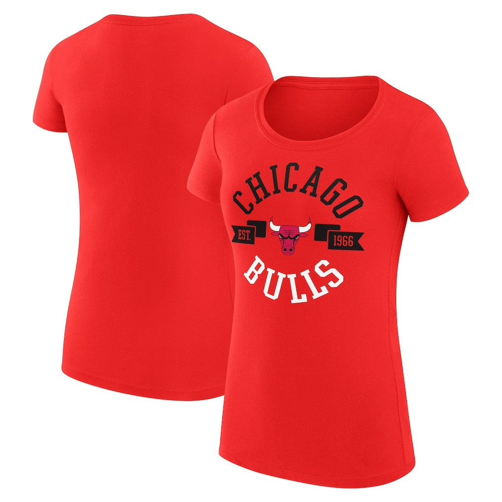 Chicago Bulls G-III 4Her by Carl Banks Women's Super-Slim Fit Lightweight Large City Logo T-Shirt sale Outlet