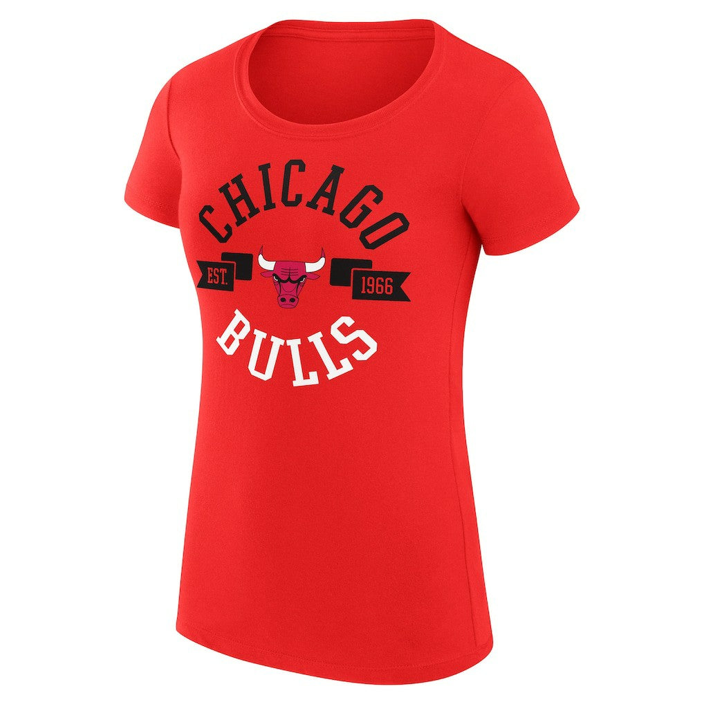 Chicago Bulls G-III 4Her by Carl Banks Women's Super-Slim Fit Lightweight Large City Logo T-Shirt sale Outlet