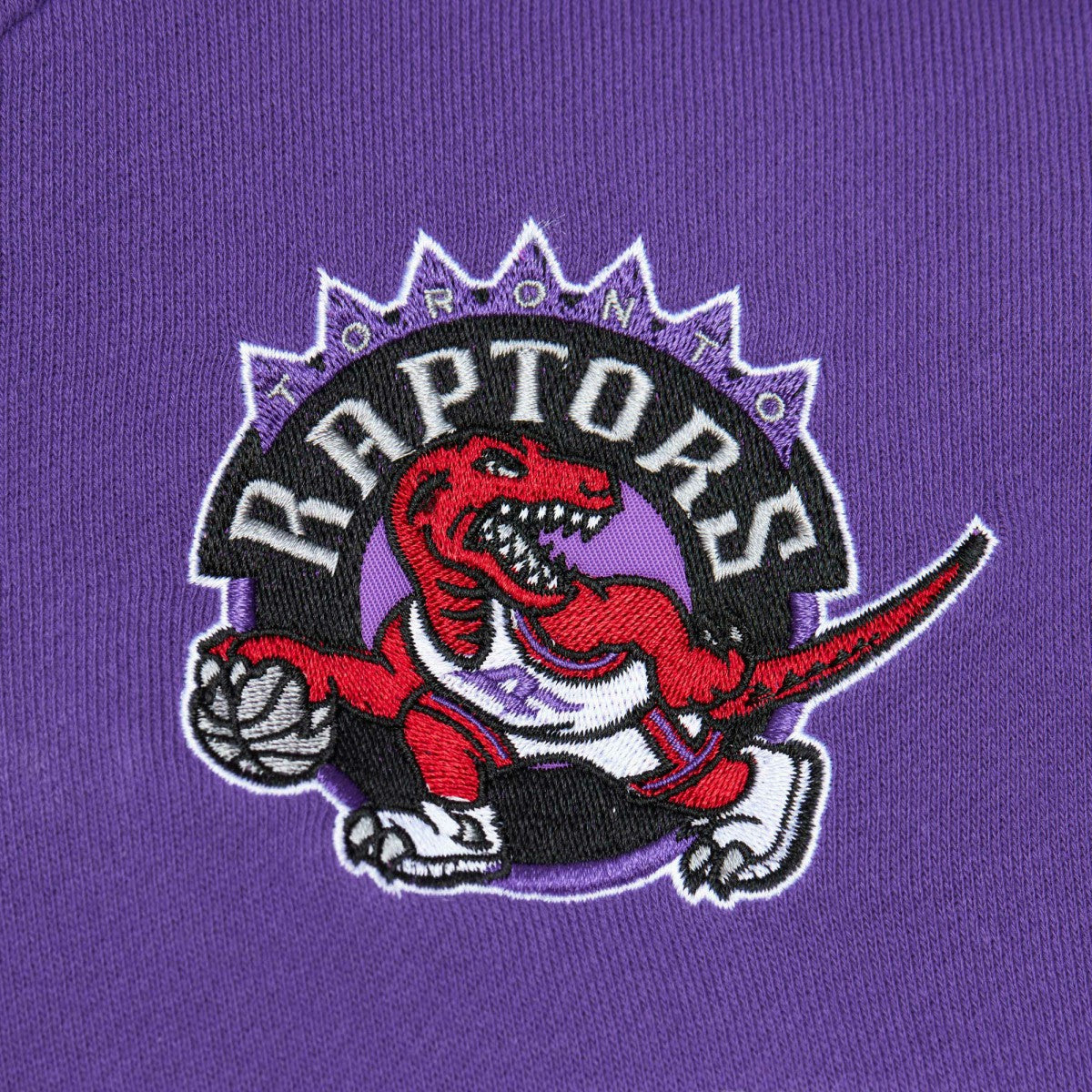 Toronto Raptors Head Coach Pullover Hoodie New