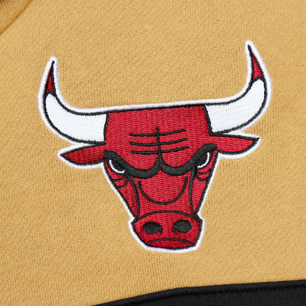 Chicago Bulls Head Coach Pullover Hoodie New