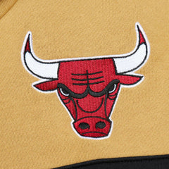 Chicago Bulls Head Coach Pullover Hoodie New