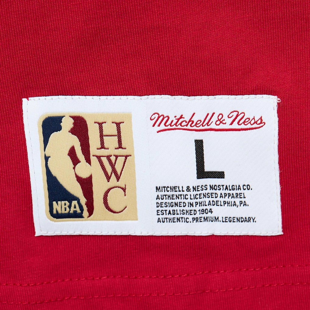 Atlanta Hawks Hardwood Classics Team OG 2.0 Premium Vintage Logo T-Shirt Online