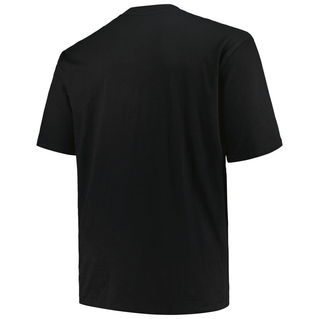 Seattle Seahawks Fanatics Big & Tall Pop T-Shirt