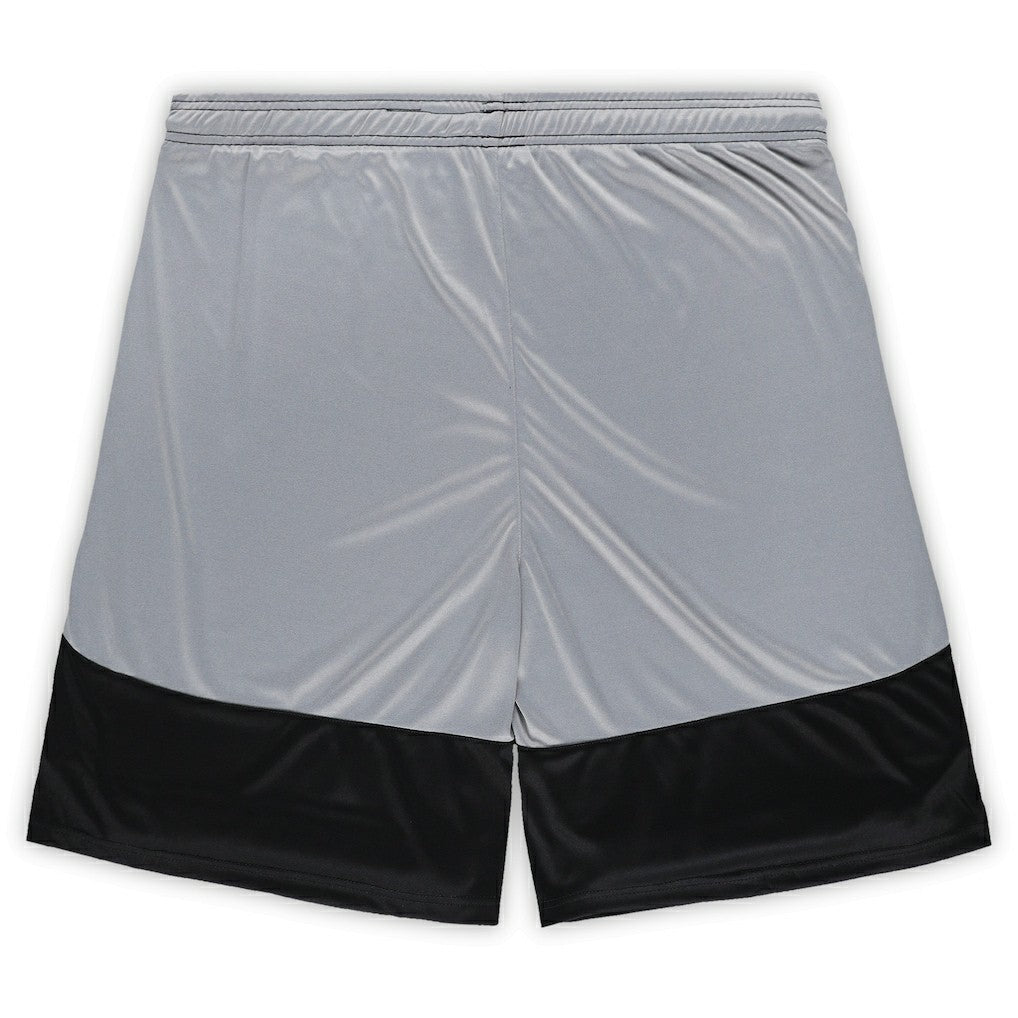 Las Vegas Raiders Fanatics Big & Tall Team Logo Shorts