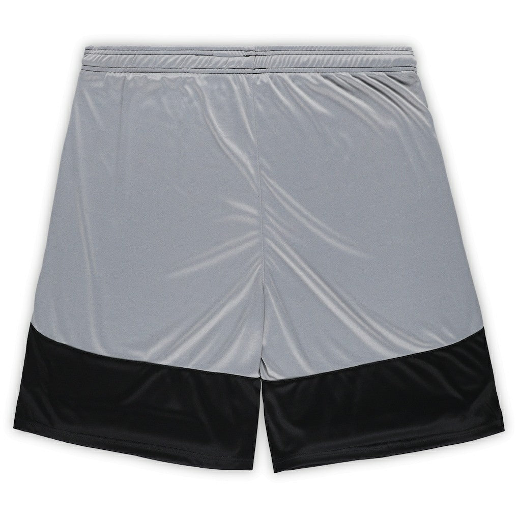 Pittsburgh Steelers Fanatics Big & Tall Team Logo Shorts