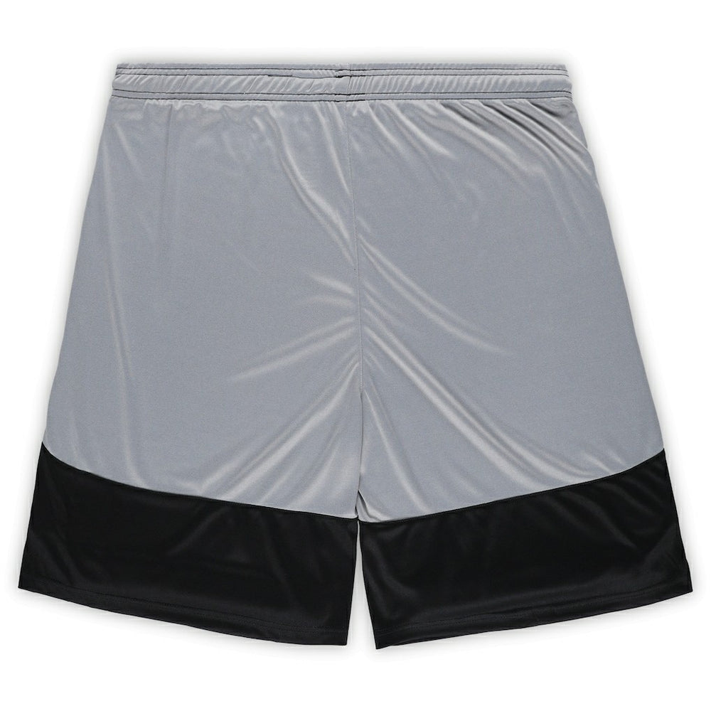 Pittsburgh Steelers Fanatics Big & Tall Team Logo Shorts