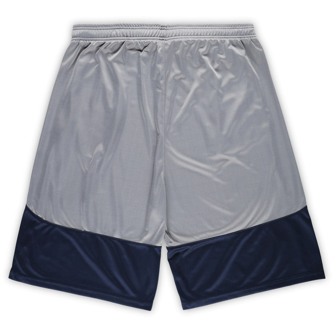Tennessee Titans Fanatics Big & Tall Team Logo Shorts