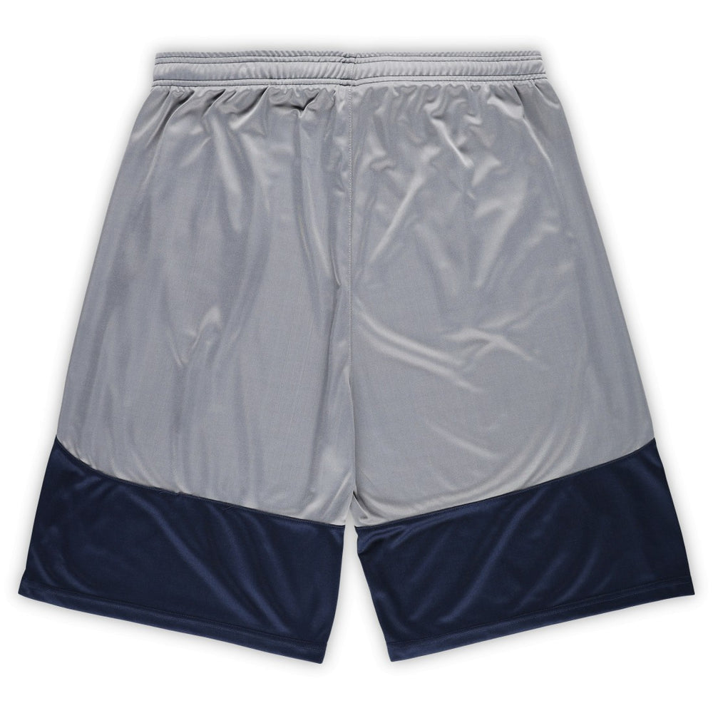 Tennessee Titans Fanatics Big & Tall Team Logo Shorts