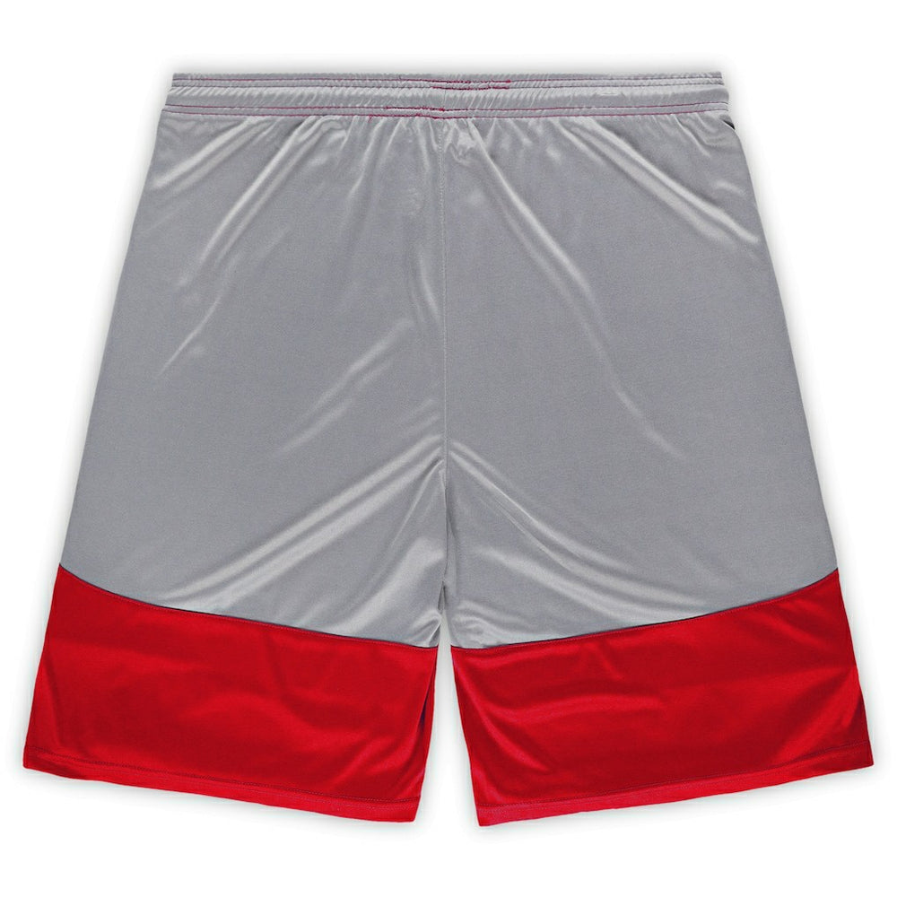 San Francisco 49ers Fanatics Big & Tall Team Logo Shorts