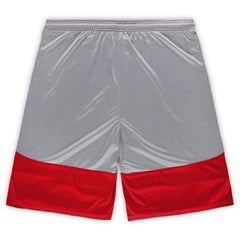 San Francisco 49ers Fanatics Big & Tall Team Logo Shorts