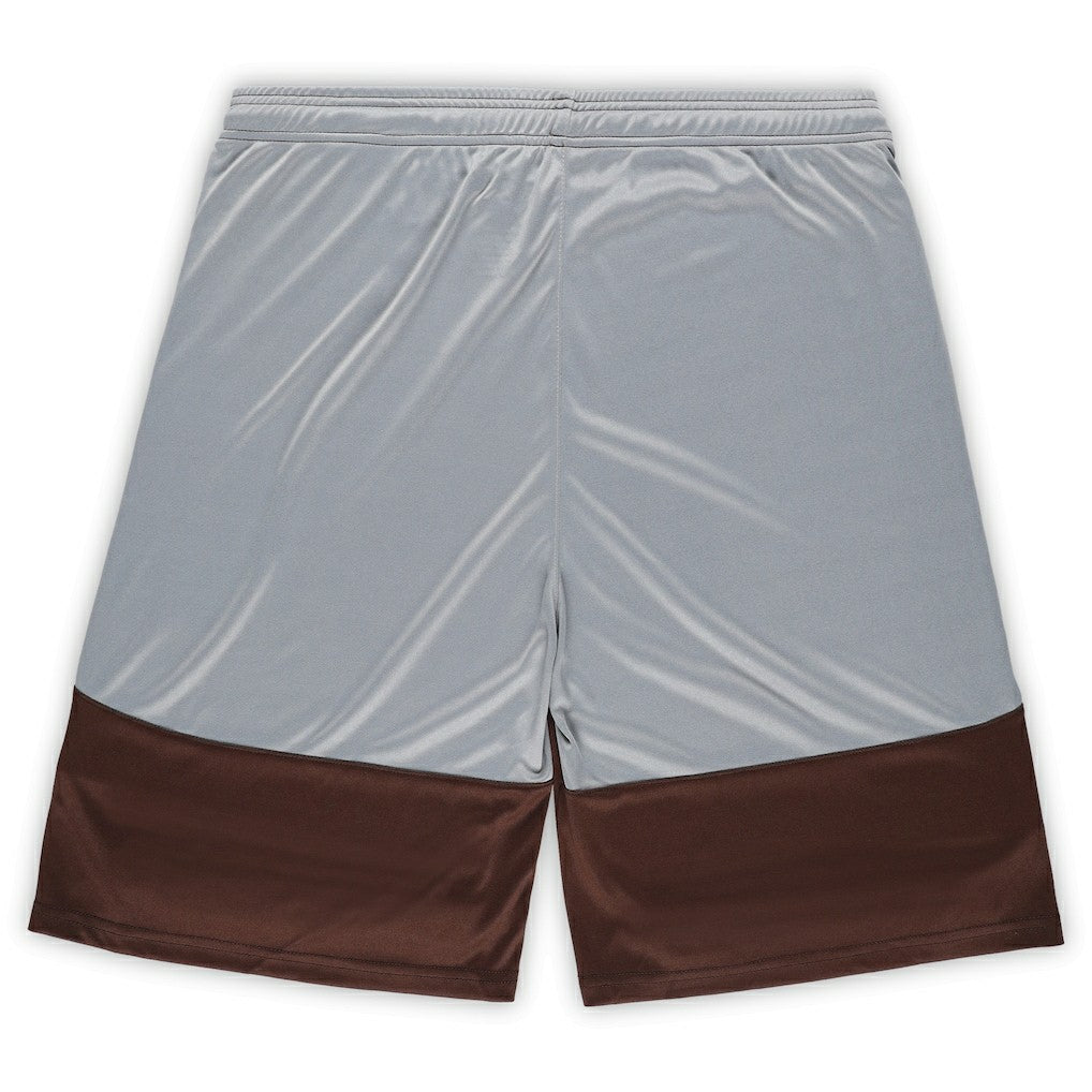 Cleveland Browns Fanatics Big & Tall Team Logo Shorts