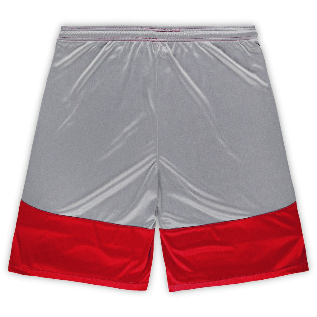 Arizona Cardinals Fanatics Big & Tall Team Logo Shorts