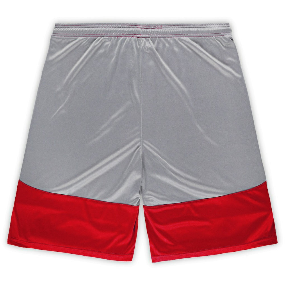 Arizona Cardinals Fanatics Big & Tall Team Logo Shorts