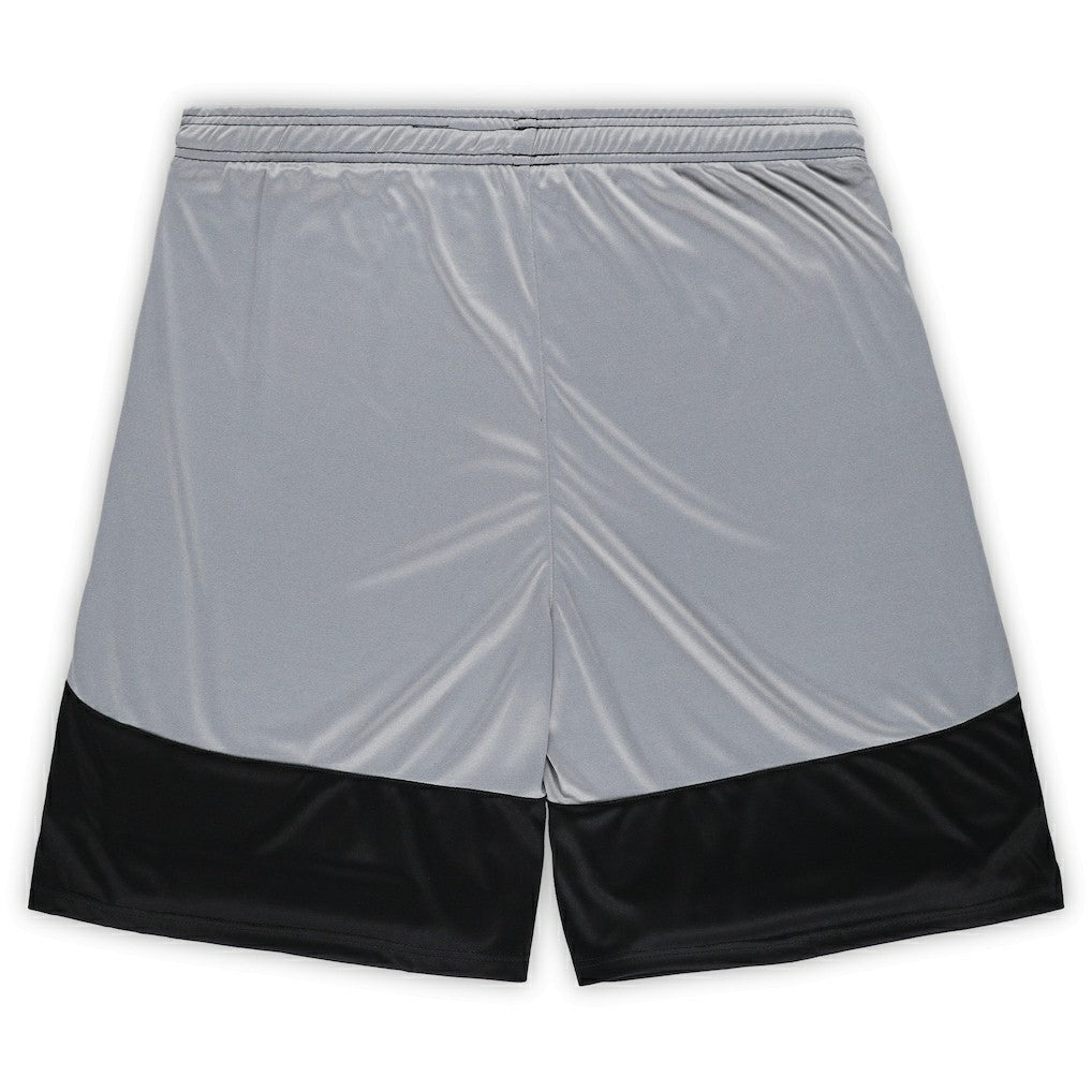 Cincinnati Bengals Fanatics Big & Tall Team Logo Shorts
