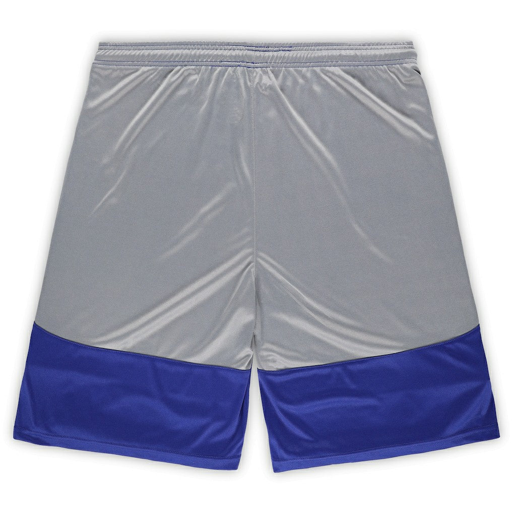 Indianapolis Colts Fanatics Big & Tall Team Logo Shorts