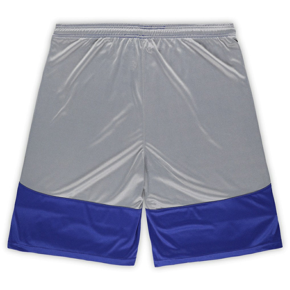 Indianapolis Colts Fanatics Big & Tall Team Logo Shorts