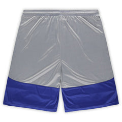 Indianapolis Colts Fanatics Big & Tall Team Logo Shorts