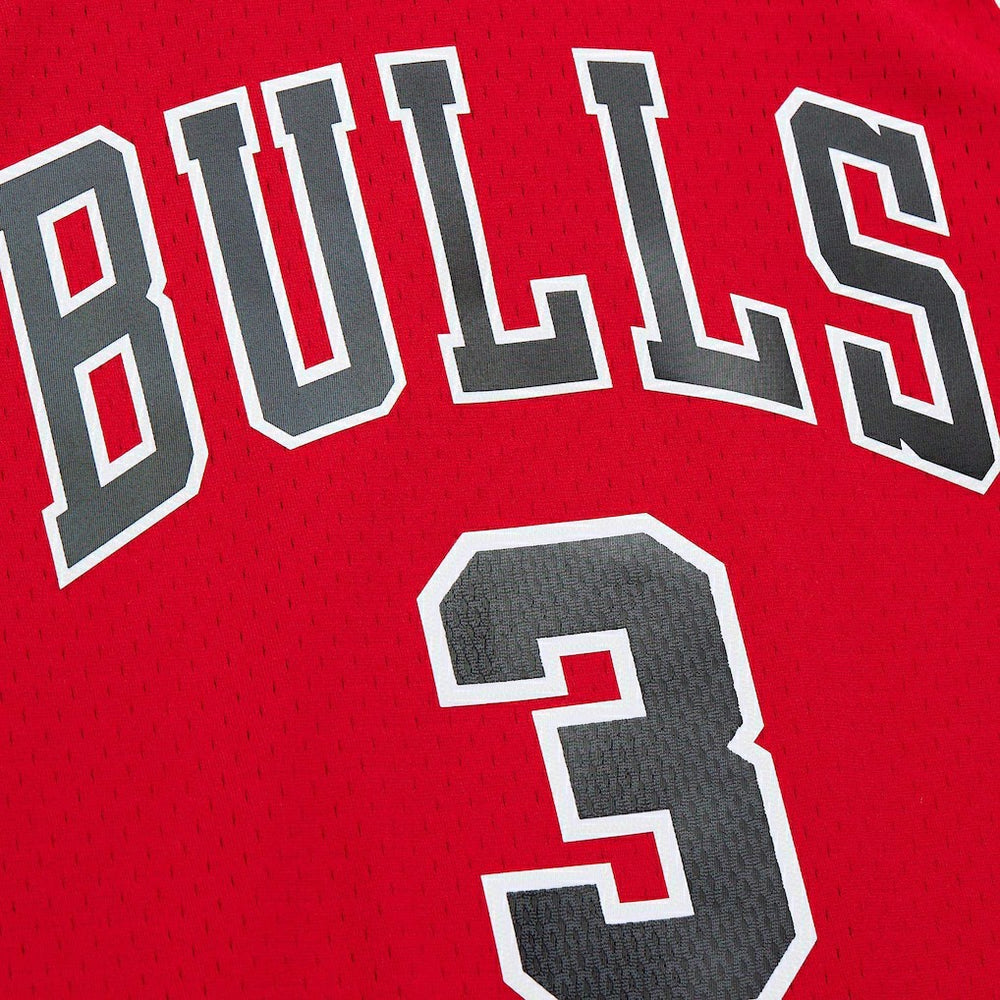Dwyane Wade Chicago Bulls 2016/17 Hardwood Classics Swingman Jersey sale Online