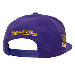 Los Angeles Lakers Retro Sport Color Block Script Snapback Hat Online