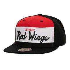 Detroit Red Wings Mitchell & Ness Retro Script Colorblock Snapback Hat Discount