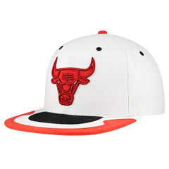Chicago Bulls Day 4 Snapback Hat Outlet