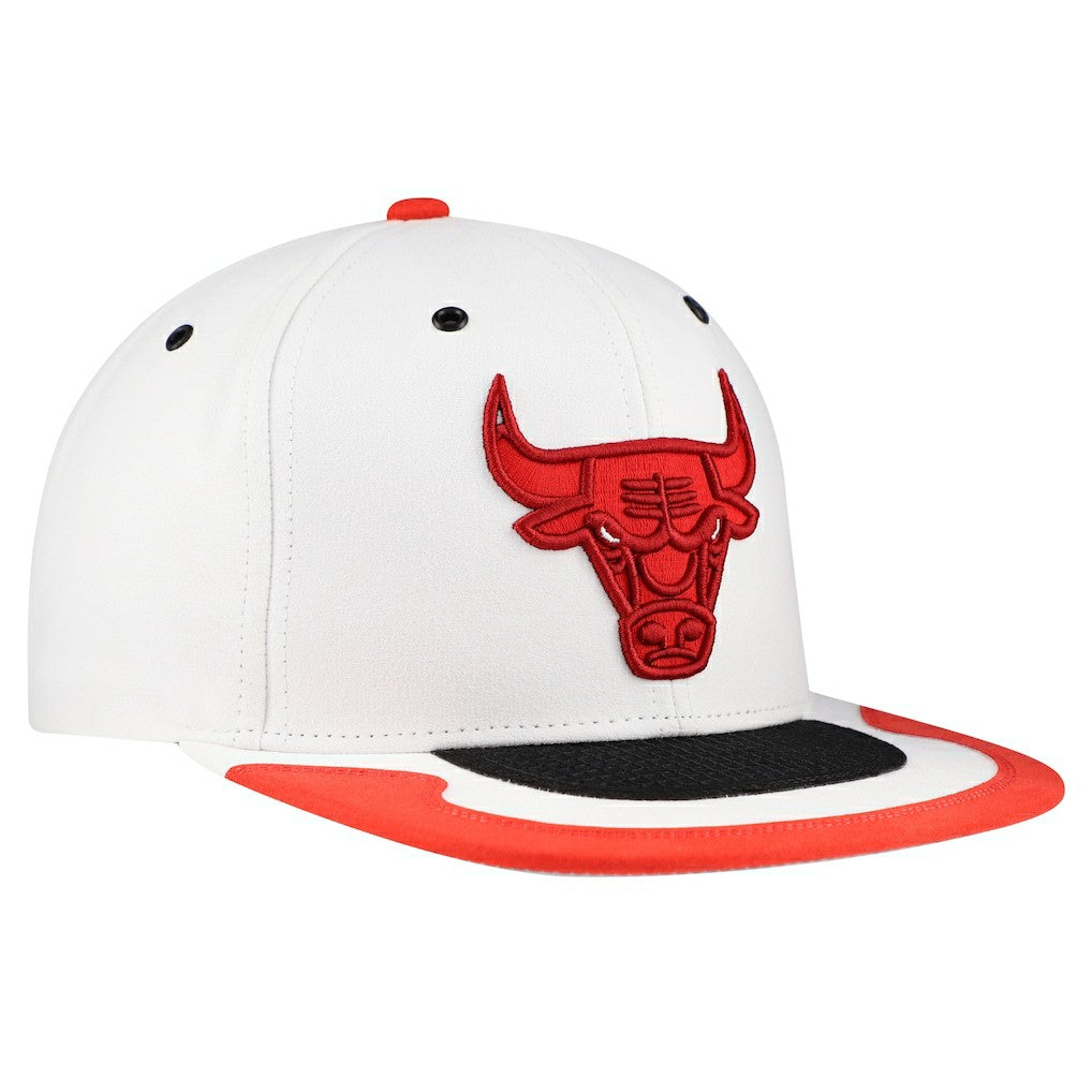 Chicago Bulls Day 4 Snapback Hat Outlet
