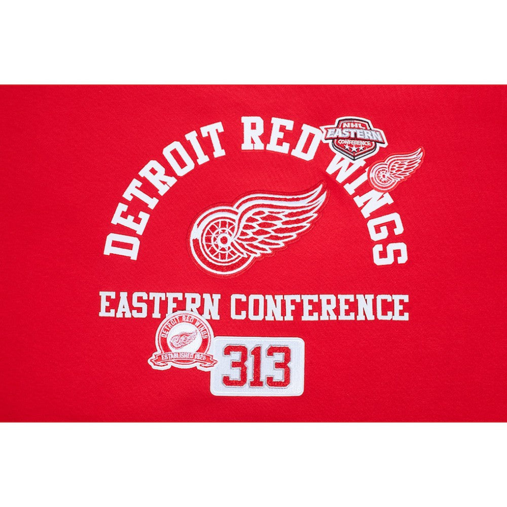 Detroit Red Wings Pro Standard Women's Area Code Cropped Pullover Sweatshirt On Sale