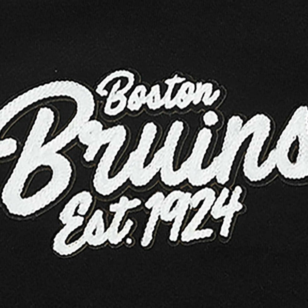 Boston Bruins Pro Standard Paint the City Pullover Hoodie Discount