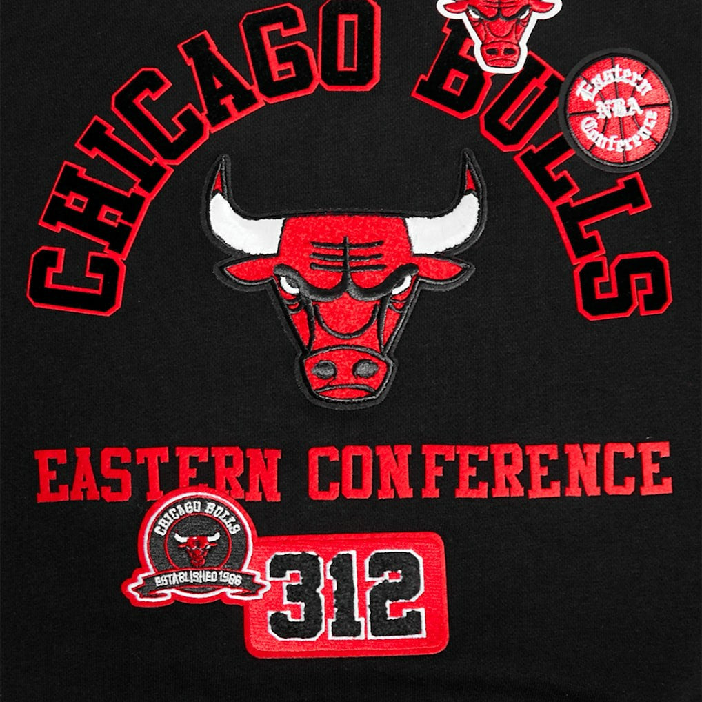 Chicago Bulls Pro Standard Women's Area Code Cropped Pullover Sweatshirt Discount