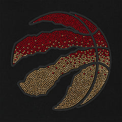 Toronto Raptors Pro Standard Women's Jewels Cropped Pullover Hoodie Online