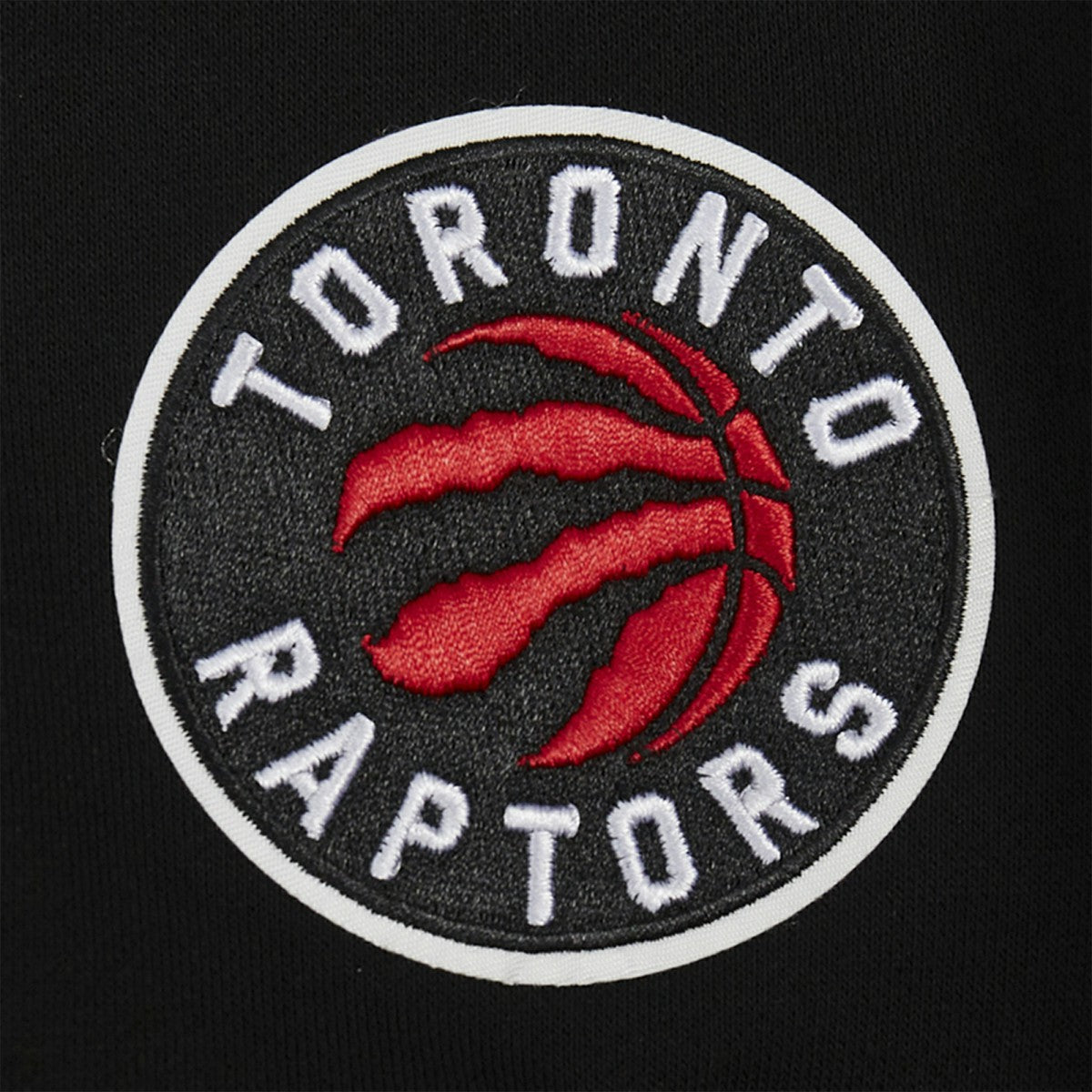 Toronto Raptors Pro Standard Women's Jewels Cropped Pullover Hoodie Online
