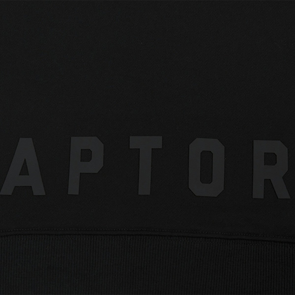 Toronto Raptors Pro Standard Women's Jewels Cropped Pullover Hoodie Online
