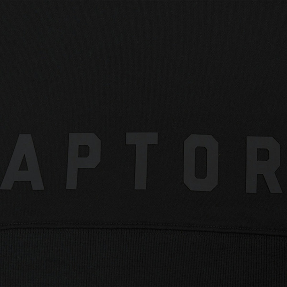 Toronto Raptors Pro Standard Women's Jewels Cropped Pullover Hoodie Online