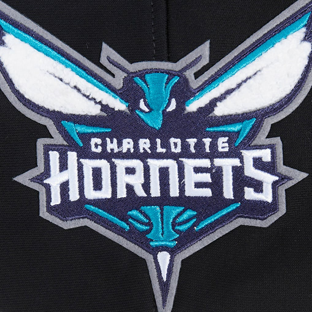 Charlotte Hornets Pro Standard Area Code Pullover Hoodie On Sale