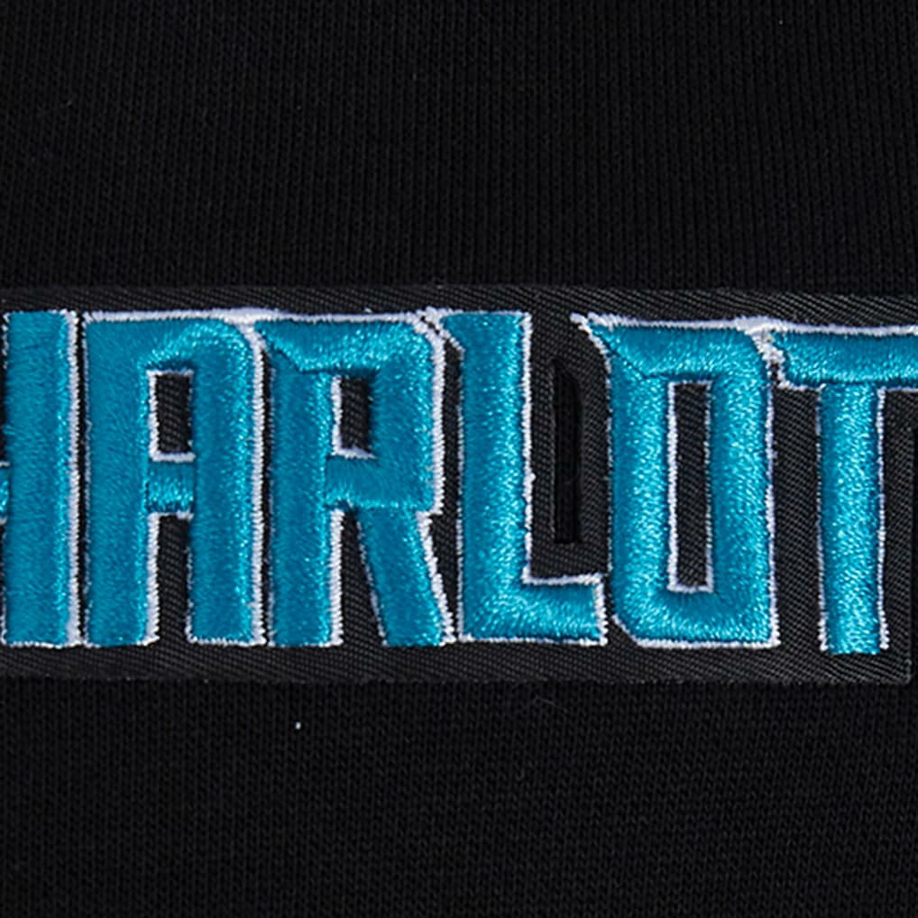 Charlotte Hornets Pro Standard Area Code Pullover Hoodie On Sale