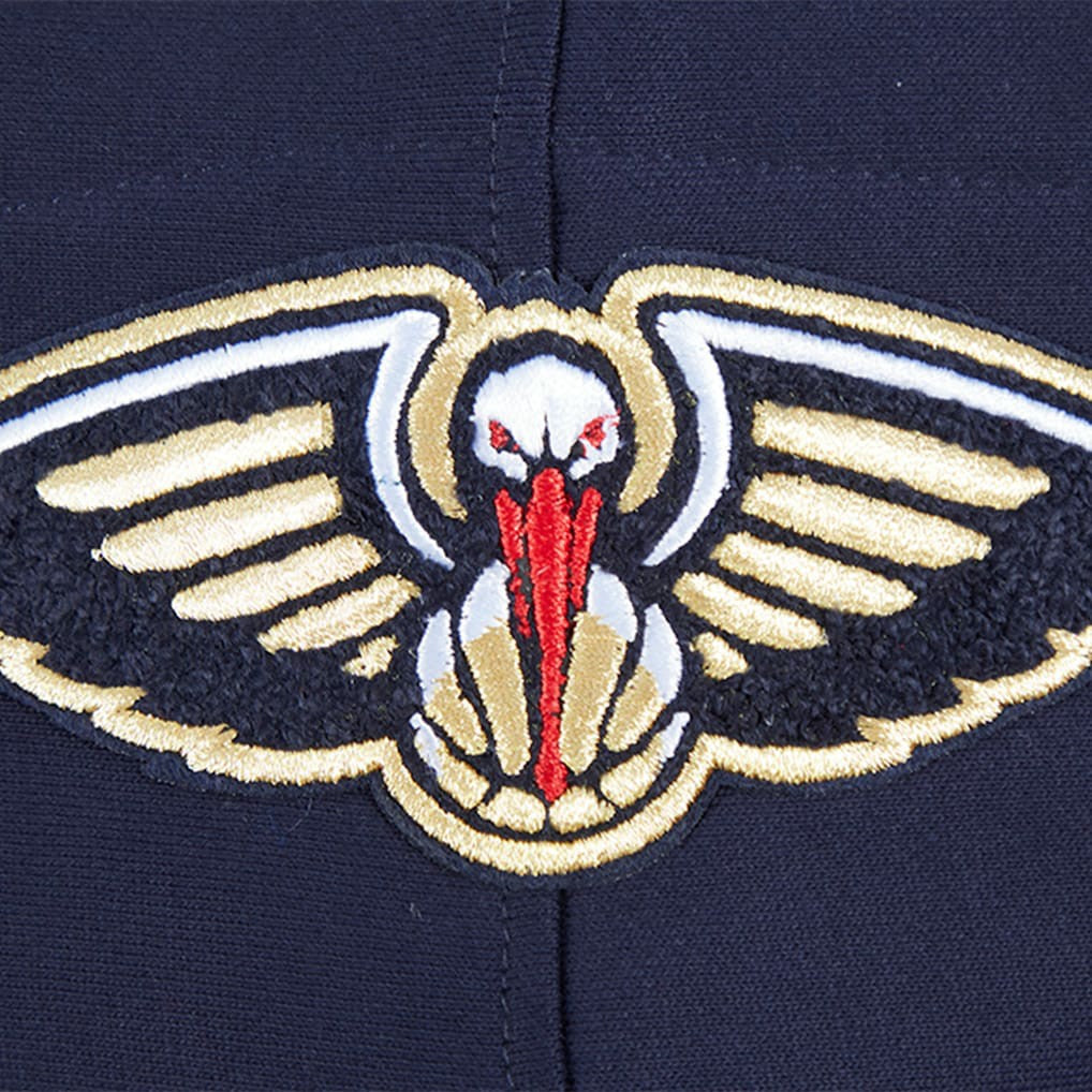 New Orleans Pelicans Pro Standard Area Code Pullover Hoodie Discount