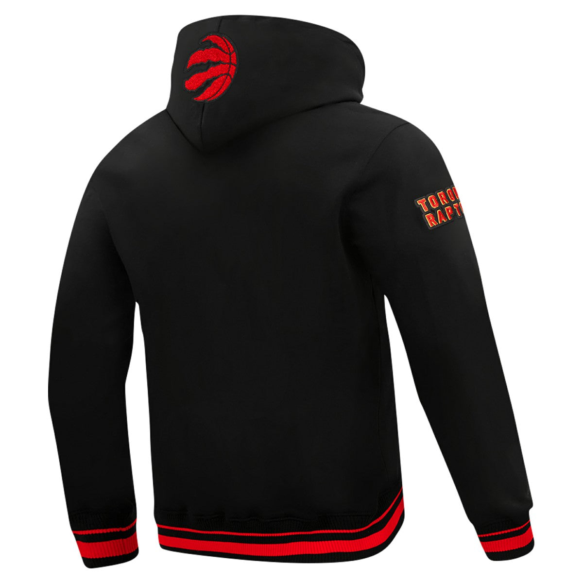 Toronto Raptors Pro Standard Area Code Pullover Hoodie On Sale