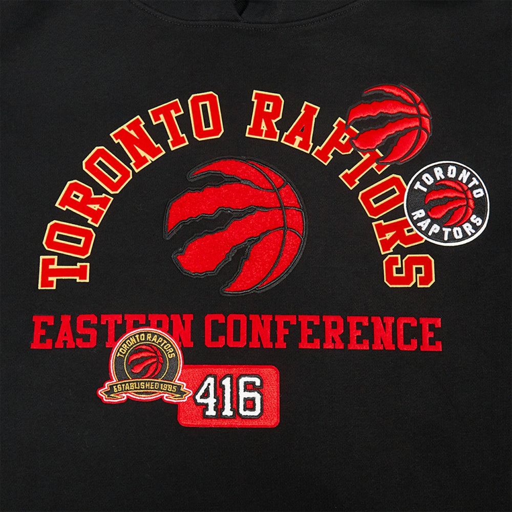Toronto Raptors Pro Standard Area Code Pullover Hoodie On Sale
