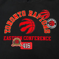 Toronto Raptors Pro Standard Area Code Pullover Hoodie On Sale