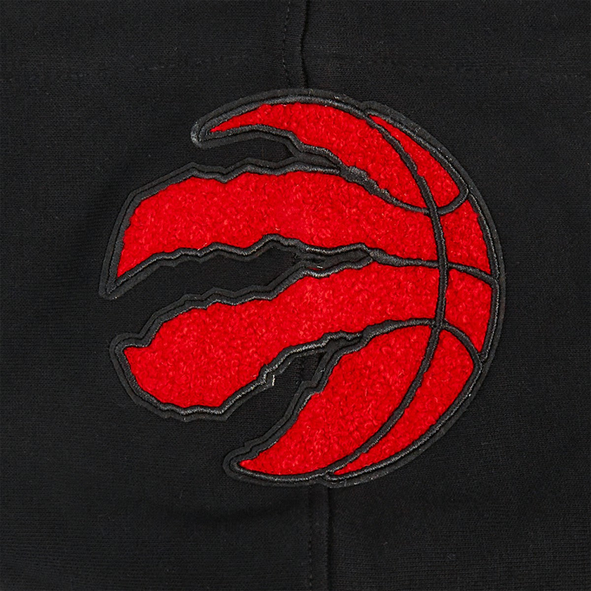 Toronto Raptors Pro Standard Area Code Pullover Hoodie On Sale