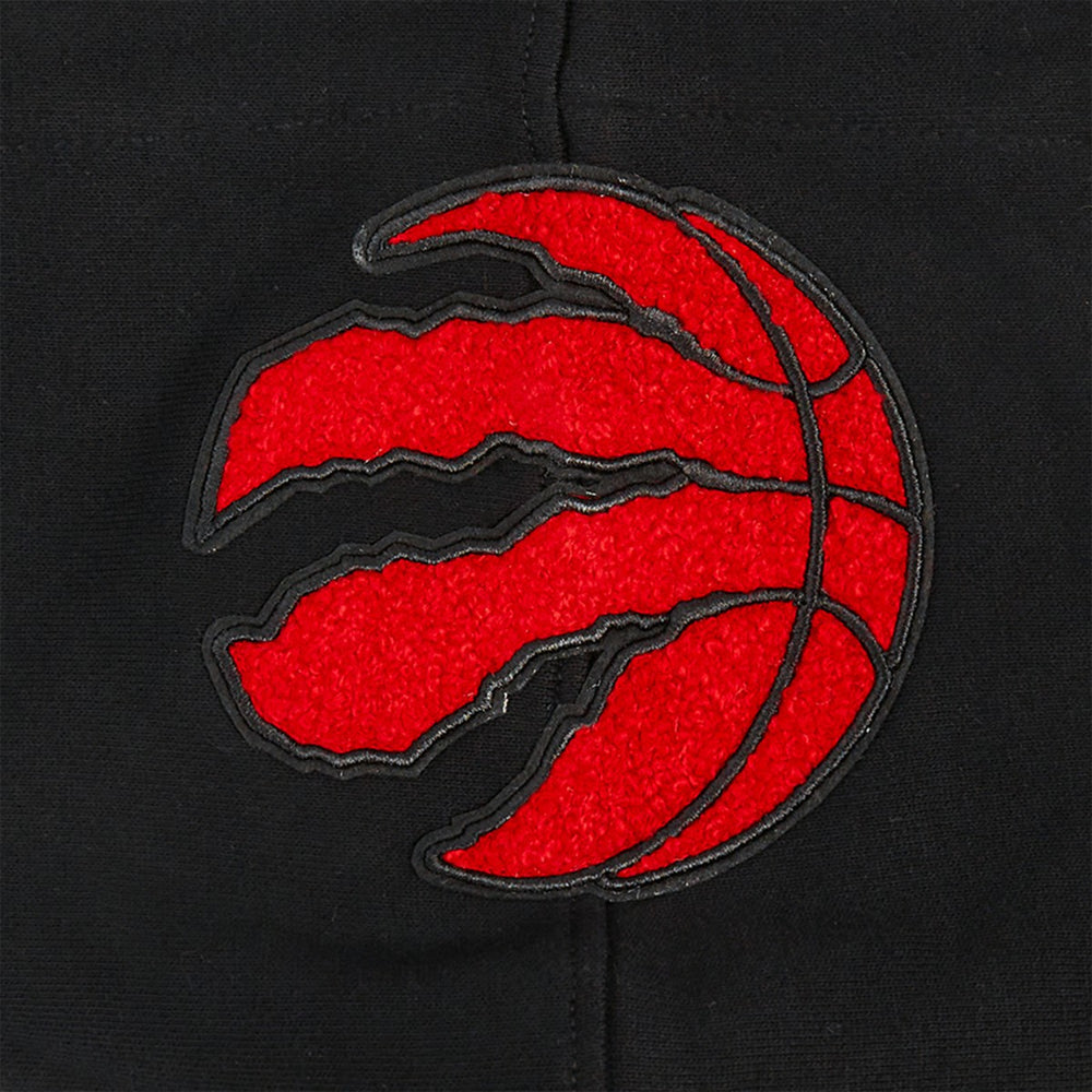Toronto Raptors Pro Standard Area Code Pullover Hoodie On Sale