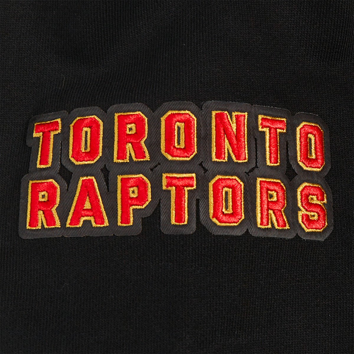 Toronto Raptors Pro Standard Area Code Pullover Hoodie On Sale