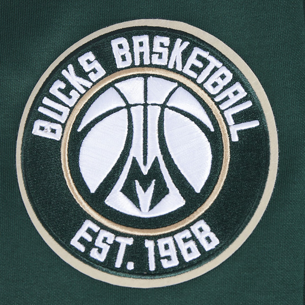 Milwaukee Bucks Pro Standard Split Logo Pullover Hoodie Discount