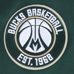 Milwaukee Bucks Pro Standard Split Logo Pullover Hoodie Discount