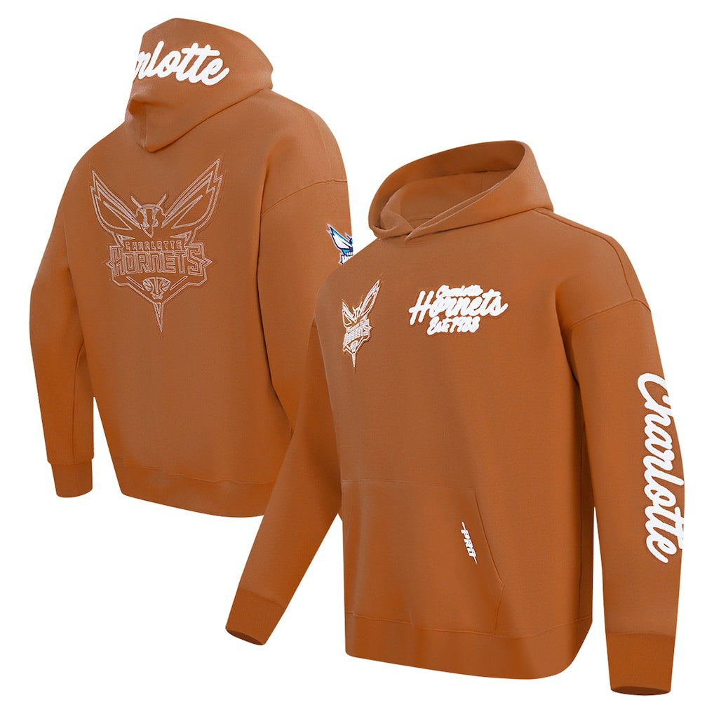 Charlotte Hornets Pro Standard Paint the City Drop Shoulder Pullover Hoodie Outlet