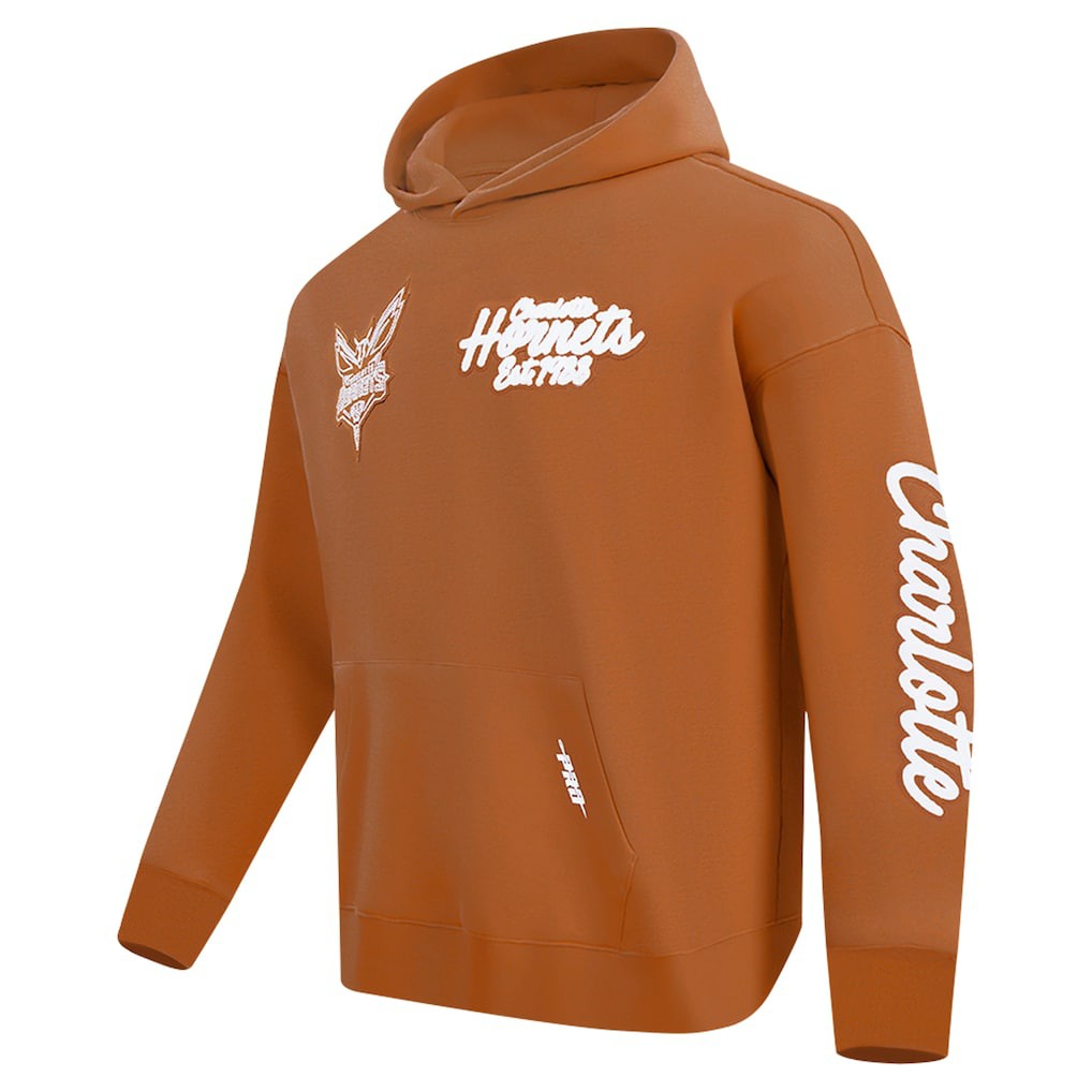 Charlotte Hornets Pro Standard Paint the City Drop Shoulder Pullover Hoodie Outlet
