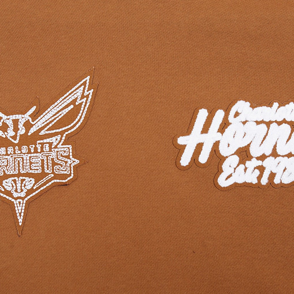 Charlotte Hornets Pro Standard Paint the City Drop Shoulder Pullover Hoodie Outlet